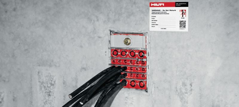 CFS-T anchor plate sets Anchor plate sets to secure cable modules within a transit frame and increase pressure-tightness Applications 1